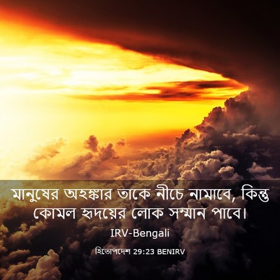 Picture 03 - হিতোপদেশ 29:23 BENIRV - মানুষের অহঙ্কার - Bible Verse Picture