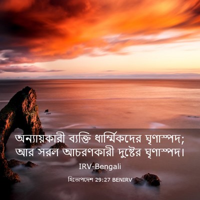 Picture 03 - হিতোপদেশ 29:27 BENIRV - অন্যায়কারী - Bible Verse Picture