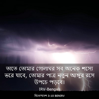 Picture 03 - হিতোপদেশ 3:10 BENIRV - তাতে তোমার গোলাঘর - Bible Verse Picture