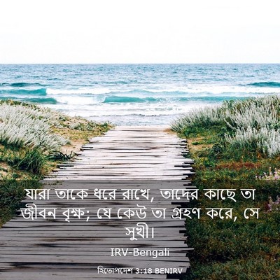 Picture 03 - হিতোপদেশ 3:18 BENIRV - যারা তাকে ধরে রাখে, - Bible Verse Picture