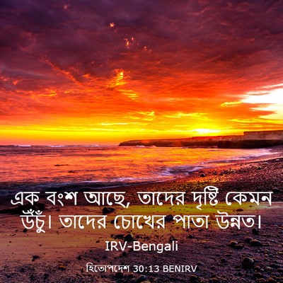 Picture 03 - হিতোপদেশ 30:13 BENIRV - এক বংশ আছে, তাদের - Bible Verse Picture