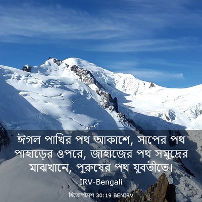 Picture 03 - হিতোপদেশ 30:19 BENIRV - ঈগল পাখির পথ আকাশে, - Bible Verse Picture