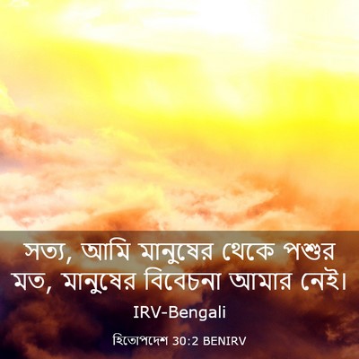 Picture 03 - হিতোপদেশ 30:2 BENIRV - সত্য, আমি মানুষের - Bible Verse Picture
