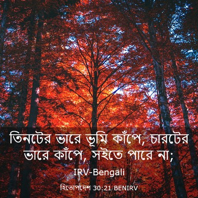 Picture 03 - হিতোপদেশ 30:21 BENIRV - তিনটের ভারে ভূমি - Bible Verse Picture