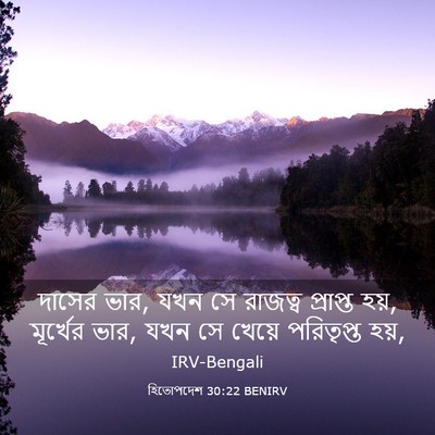Picture 03 - হিতোপদেশ 30:22 BENIRV - দাসের ভার, যখন সে - Bible Verse Picture