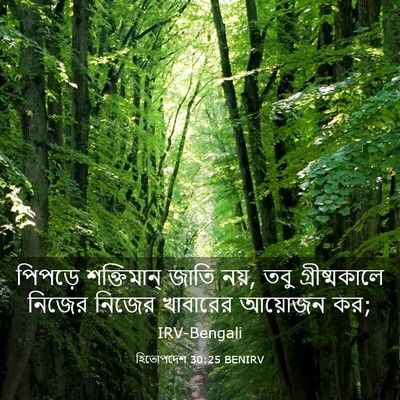 Picture 03 - হিতোপদেশ 30:25 BENIRV - পিপড়ে শক্তিমান্ - Bible Verse Picture