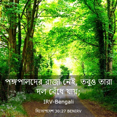 Picture 03 - হিতোপদেশ 30:27 BENIRV - পঙ্গপালদের রাজা - Bible Verse Picture