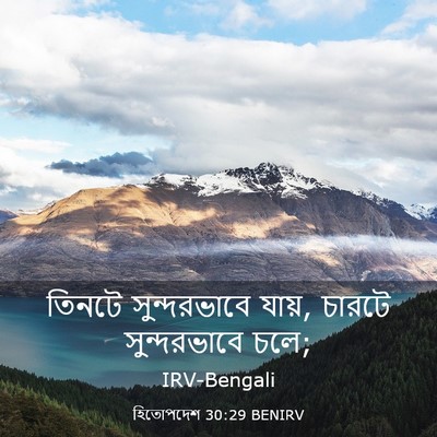 Picture 03 - হিতোপদেশ 30:29 BENIRV - তিনটে সুন্দরভাবে - Bible Verse Picture