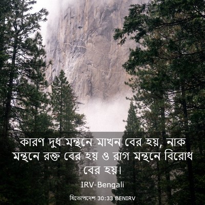 Picture 03 - হিতোপদেশ 30:33 BENIRV - কারণ দুধ মন্থনে - Bible Verse Picture