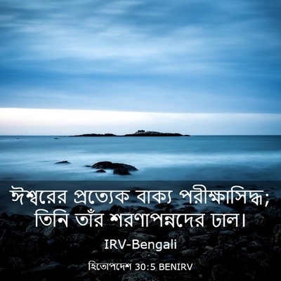 Picture 03 - হিতোপদেশ 30:5 BENIRV - ঈশ্বরের প্রত্যেক - Bible Verse Picture