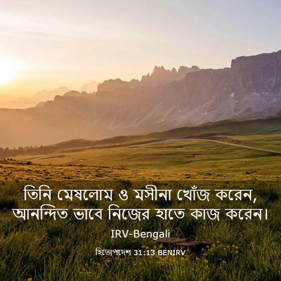 Picture 03 - হিতোপদেশ 31:13 BENIRV - তিনি মেষলোম ও - Bible Verse Picture