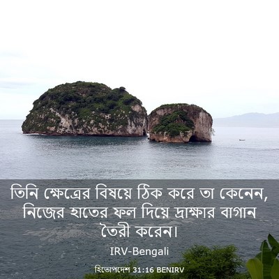 Picture 03 - হিতোপদেশ 31:16 BENIRV - তিনি ক্ষেত্রের - Bible Verse Picture