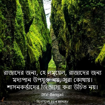 Picture 03 - হিতোপদেশ 31:4 BENIRV - রাজাদের জন্য, হে - Bible Verse Picture