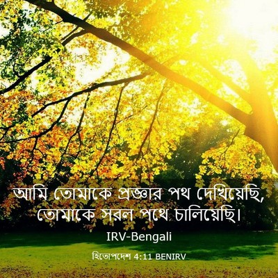 Picture 03 - হিতোপদেশ 4:11 BENIRV - আমি তোমাকে - Bible Verse Picture