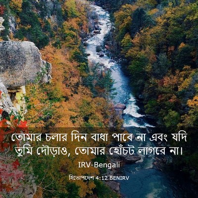Picture 03 - হিতোপদেশ 4:12 BENIRV - তোমার চলার দিন - Bible Verse Picture