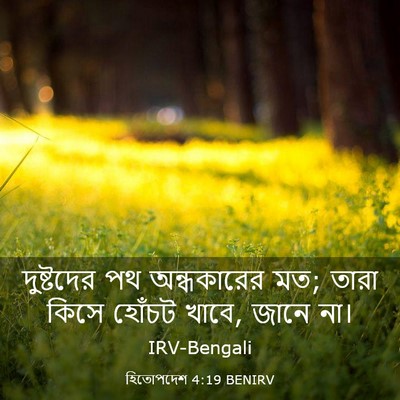Picture 03 - হিতোপদেশ 4:19 BENIRV - দুষ্টদের পথ - Bible Verse Picture