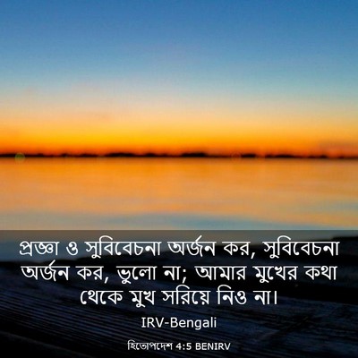Picture 03 - হিতোপদেশ 4:5 BENIRV - প্রজ্ঞা ও - Bible Verse Picture