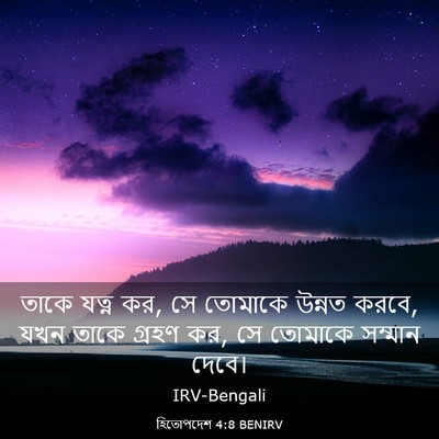 Picture 03 - হিতোপদেশ 4:8 BENIRV - তাকে যত্ন কর, সে - Bible Verse Picture