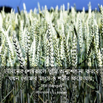 Picture 03 - হিতোপদেশ 5:11 BENIRV - জীবনের শেষকালে - Bible Verse Picture