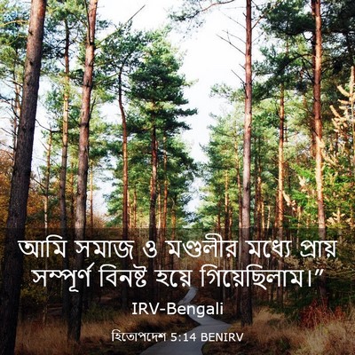 Picture 03 - হিতোপদেশ 5:14 BENIRV - আমি সমাজ ও মণ্ডলীর - Bible Verse Picture