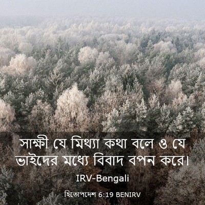 Picture 03 - হিতোপদেশ 6:19 BENIRV - সাক্ষী যে মিথ্যা - Bible Verse Picture