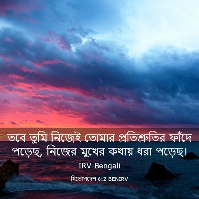 Picture 03 - হিতোপদেশ 6:2 BENIRV - তবে তুমি নিজেই - Bible Verse Picture