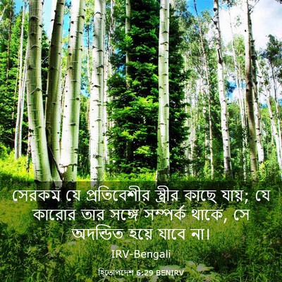 Picture 03 - হিতোপদেশ 6:29 BENIRV - সেরকম যে - Bible Verse Picture