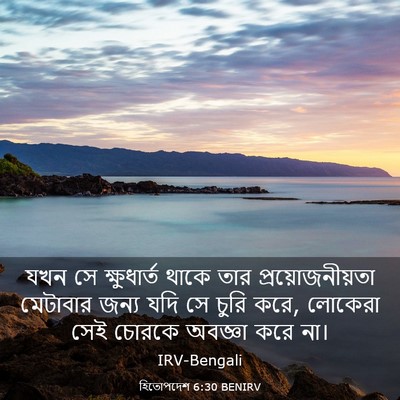 Picture 03 - হিতোপদেশ 6:30 BENIRV - যখন সে ক্ষুধার্ত - Bible Verse Picture
