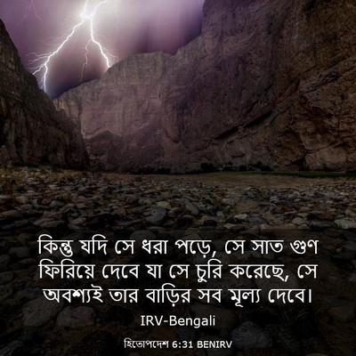Picture 03 - হিতোপদেশ 6:31 BENIRV - কিন্তু যদি সে ধরা - Bible Verse Picture