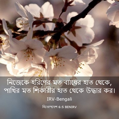 Picture 03 - হিতোপদেশ 6:5 BENIRV - নিজেকে হরিণের মত - Bible Verse Picture