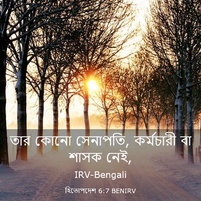 Picture 03 - হিতোপদেশ 6:7 BENIRV - তার কোনো সেনাপতি, - Bible Verse Picture