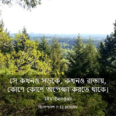 Picture 03 - হিতোপদেশ 7:12 BENIRV - সে কখনও সড়কে, কখনও - Bible Verse Picture