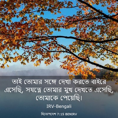 Picture 03 - হিতোপদেশ 7:15 BENIRV - তাই তোমার সঙ্গে - Bible Verse Picture