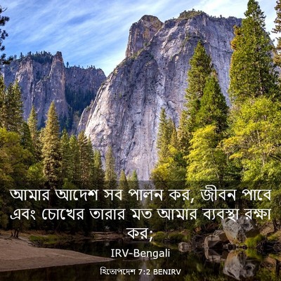 Picture 03 - হিতোপদেশ 7:2 BENIRV - আমার আদেশ সব পালন - Bible Verse Picture