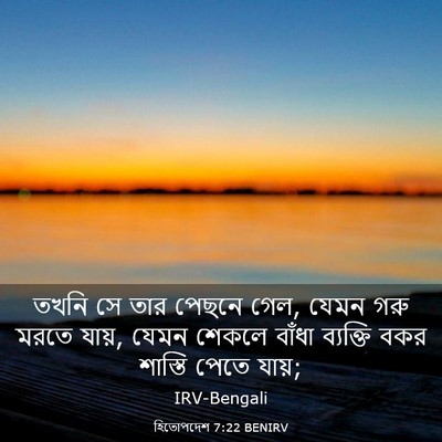 Picture 03 - হিতোপদেশ 7:22 BENIRV - তখনি সে তার পেছনে - Bible Verse Picture