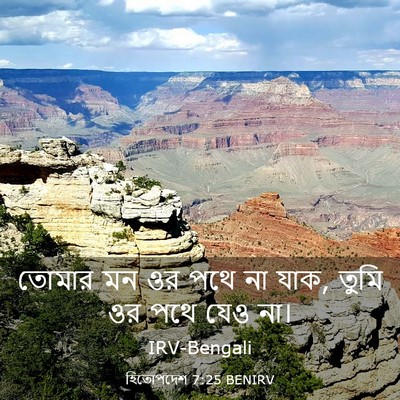 Picture 03 - হিতোপদেশ 7:25 BENIRV - তোমার মন ওর পথে না - Bible Verse Picture