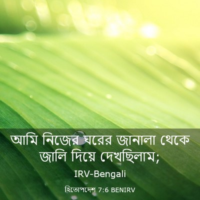 Picture 03 - হিতোপদেশ 7:6 BENIRV - আমি নিজের ঘরের - Bible Verse Picture
