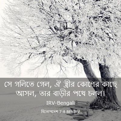 Picture 03 - হিতোপদেশ 7:8 BENIRV - সে গলিতে গেল, ঐ - Bible Verse Picture