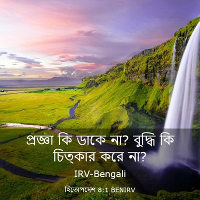 Picture 03 - হিতোপদেশ 8:1 BENIRV - প্রজ্ঞা কি ডাকে না? - Bible Verse Picture