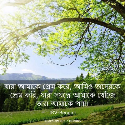 Picture 03 - হিতোপদেশ 8:17 BENIRV - যারা আমাকে প্রেম - Bible Verse Picture