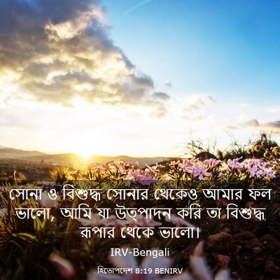 Picture 03 - হিতোপদেশ 8:19 BENIRV - সোনা ও বিশুদ্ধ - Bible Verse Picture