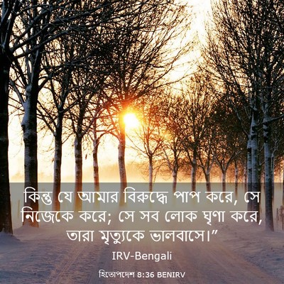 Picture 03 - হিতোপদেশ 8:36 BENIRV - কিন্তু যে আমার - Bible Verse Picture