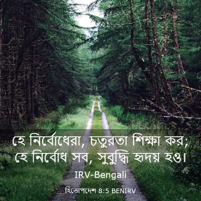 Picture 03 - হিতোপদেশ 8:5 BENIRV - হে নির্বোধেরা, - Bible Verse Picture