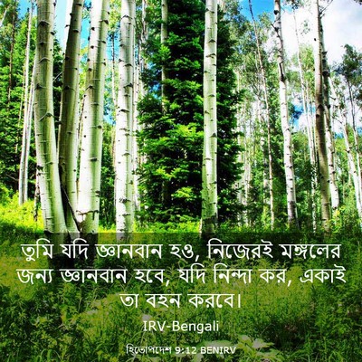 Picture 03 - হিতোপদেশ 9:12 BENIRV - তুমি যদি জ্ঞানবান - Bible Verse Picture