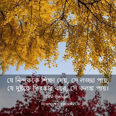 Picture 03 - হিতোপদেশ 9:7 BENIRV - যে নিন্দককে - Bible Verse Picture