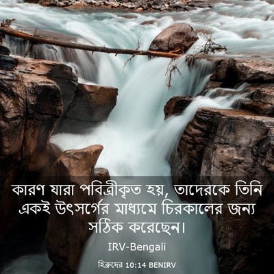 Picture 03 - হিব্রুদের 10:14 BENIRV - কারণ যারা - Bible Verse Picture