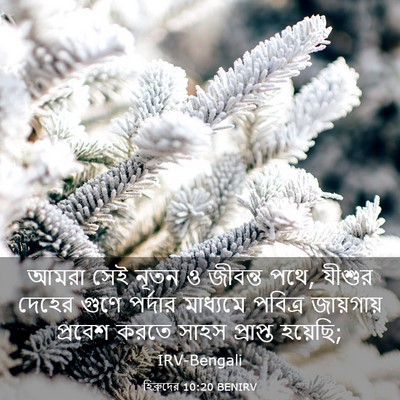Picture 03 - হিব্রুদের 10:20 BENIRV - আমরা সেই নূতন ও - Bible Verse Picture