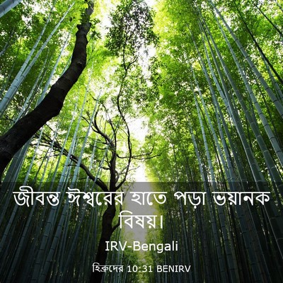 Picture 03 - হিব্রুদের 10:31 BENIRV - জীবন্ত ঈশ্বরের - Bible Verse Picture