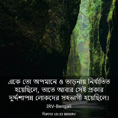 Picture 03 - হিব্রুদের 10:33 BENIRV - একে তো অপমানে ও - Bible Verse Picture
