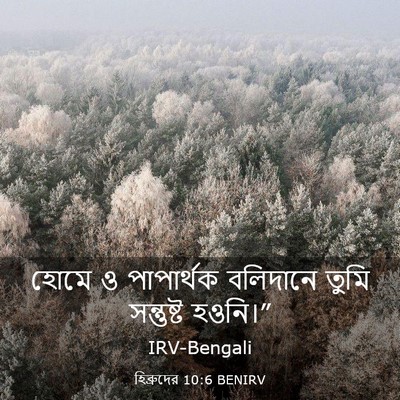 Picture 03 - হিব্রুদের 10:6 BENIRV - হোমে ও পাপার্থক - Bible Verse Picture